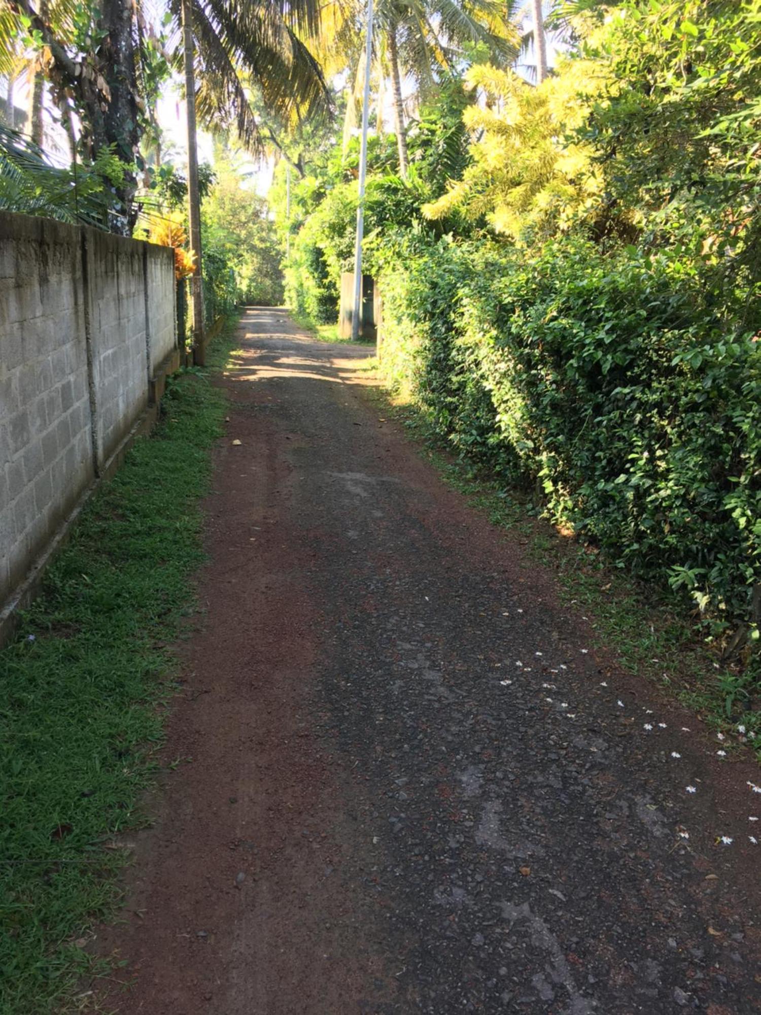 Bosadi Homestay Katunayaka Luaran gambar